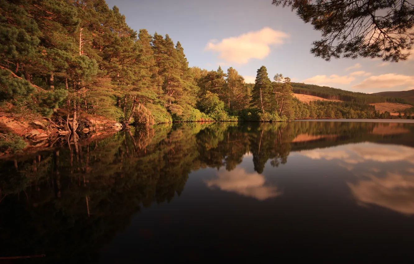 Photo wallpaper forest, the sky, nature, river