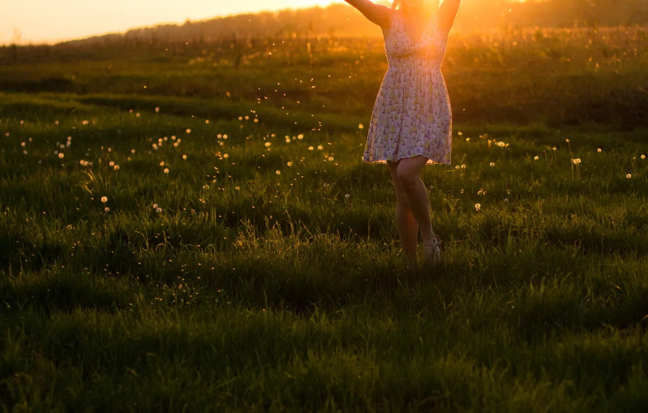 Photo wallpaper girl, the sun, sunset, nature, dandelions
