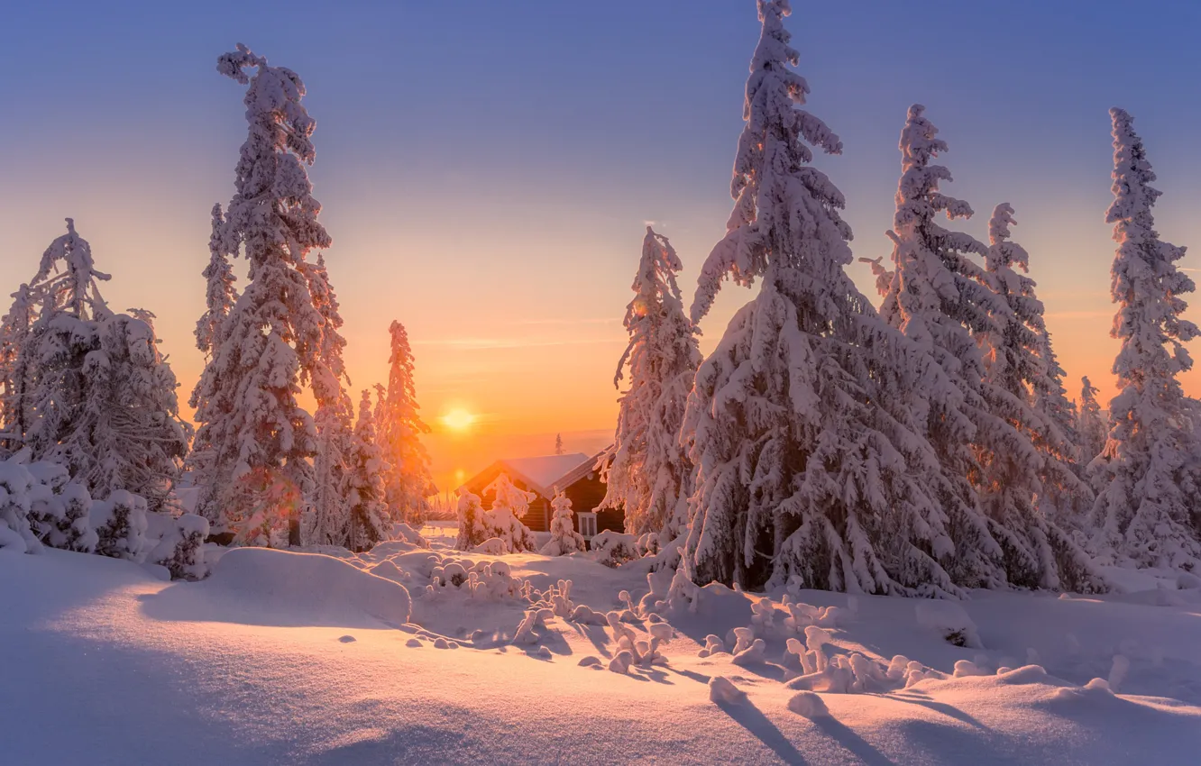 Photo wallpaper winter, the sky, snow, sunset, tree, Jоrn Allan