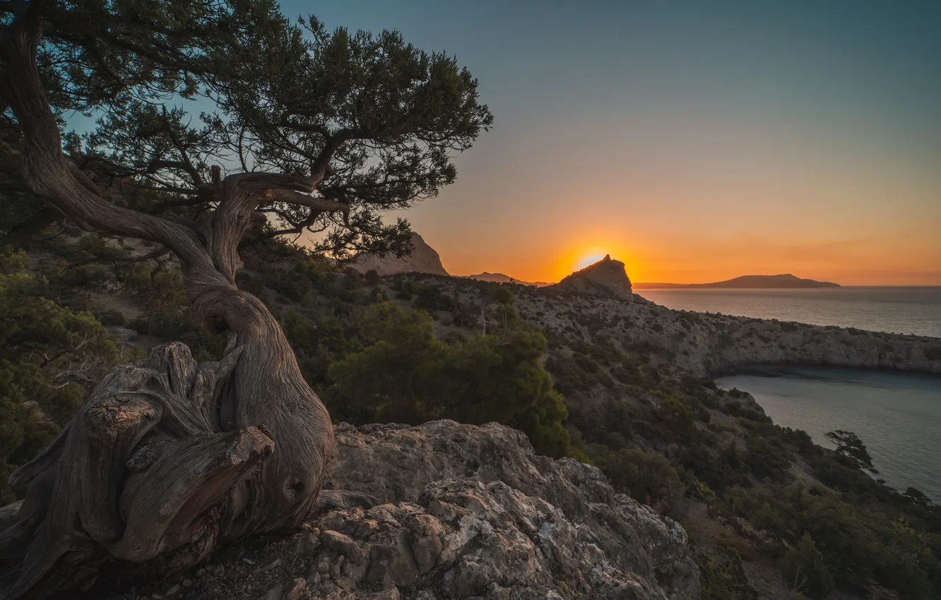Photo wallpaper sea, trees, landscape, sunset, nature, stones, rocks, coast