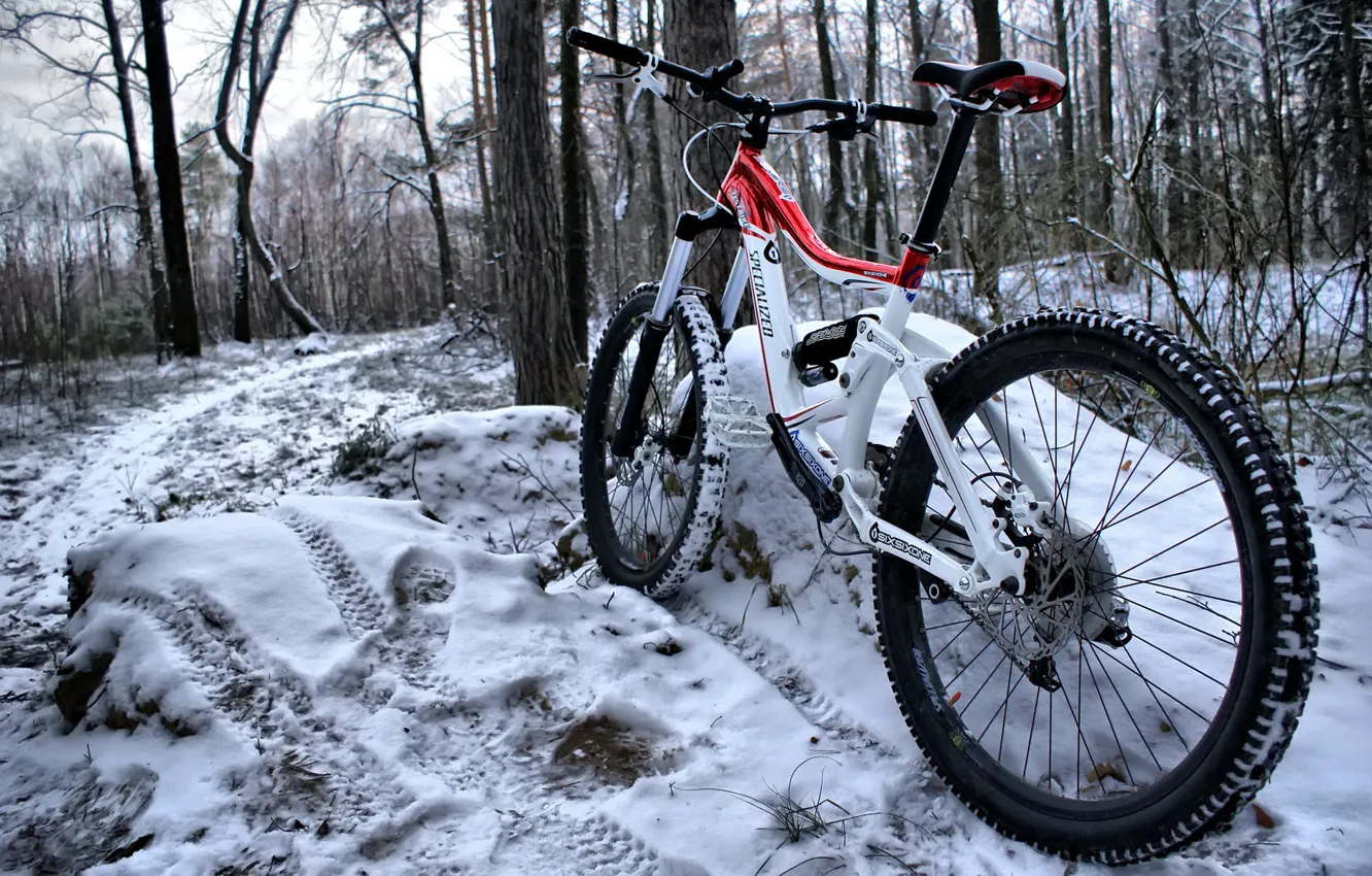 Photo wallpaper winter, forest, snow, bike, frame, color