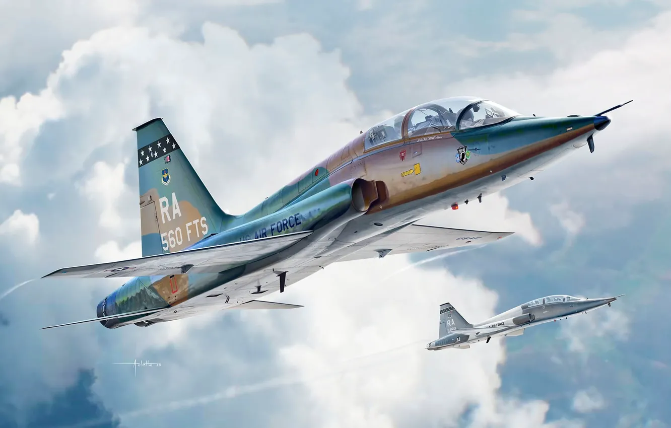 Photo wallpaper USA, T-38C Talon, Training aircraft, Auletta, US Airforce, Northrop T-38 Talon