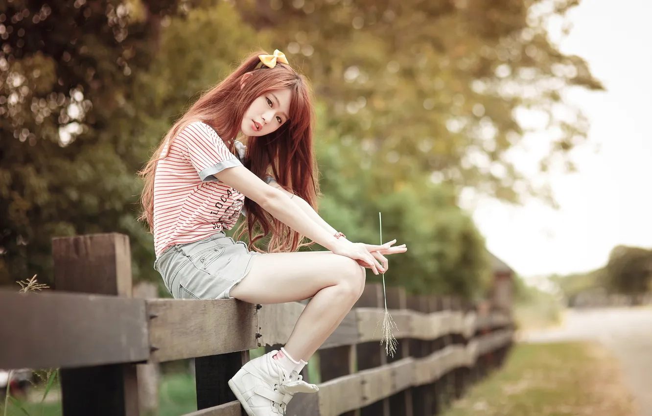 Photo wallpaper girl, the fence, Asian