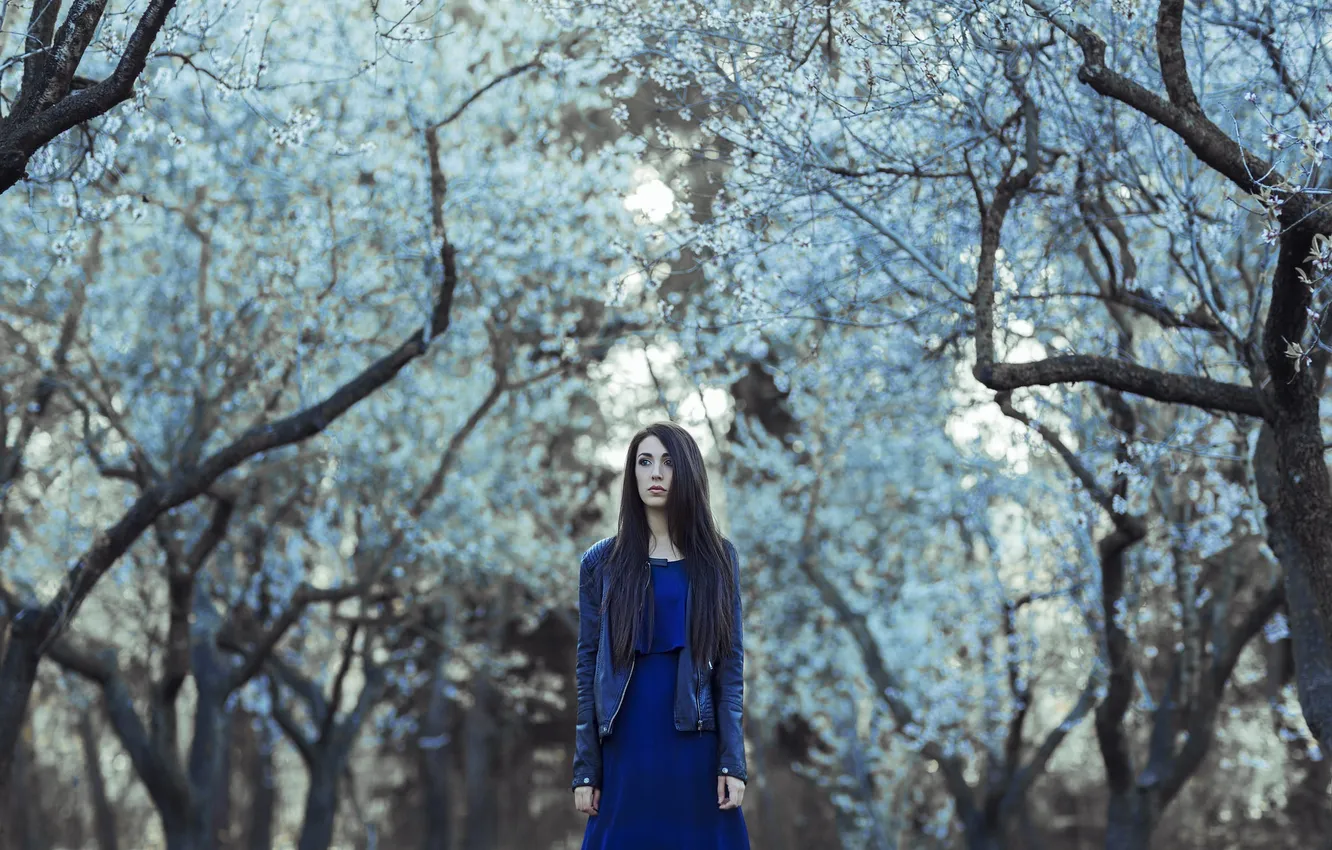 Photo wallpaper girl, nature, face, background, hair