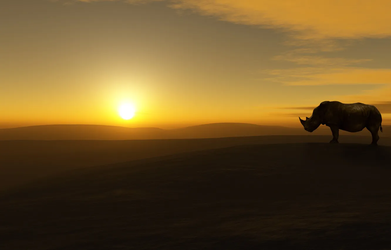 Photo wallpaper the sky, the sun, landscape, desert, Rhino