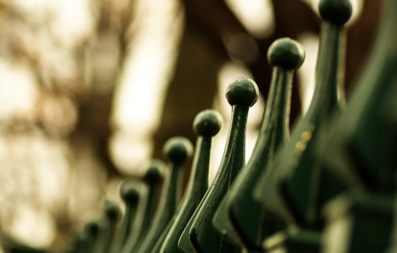 Photo wallpaper macro, background, the fence