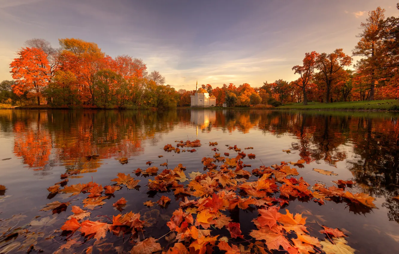 Photo wallpaper autumn, leaves, pond, Park, reflection, the building, Saint Petersburg, Pavlovsk