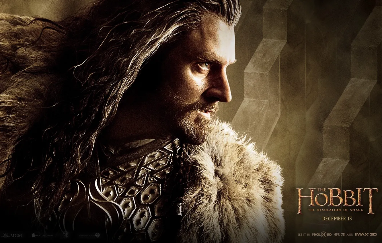 Photo wallpaper Richard Armitage, Thorin Oakenshield, The Hobbit: The Desolation Of Smaug, hobbit: the desolation of smaug, …