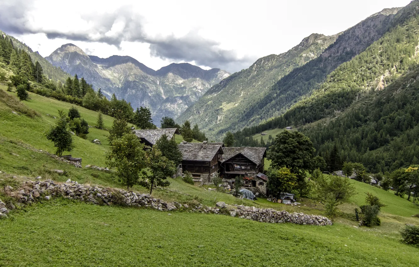 Photo wallpaper forest, grass, trees, mountains, stones, slope, Italy, gorge