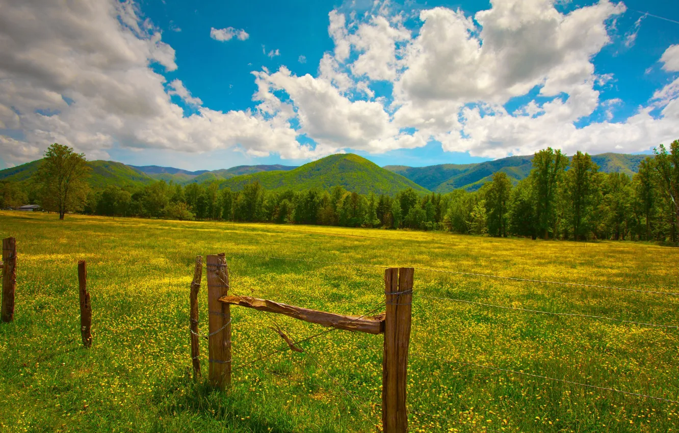 Photo wallpaper greens, summer, grass, clouds, flowers, hills, posts, the fence