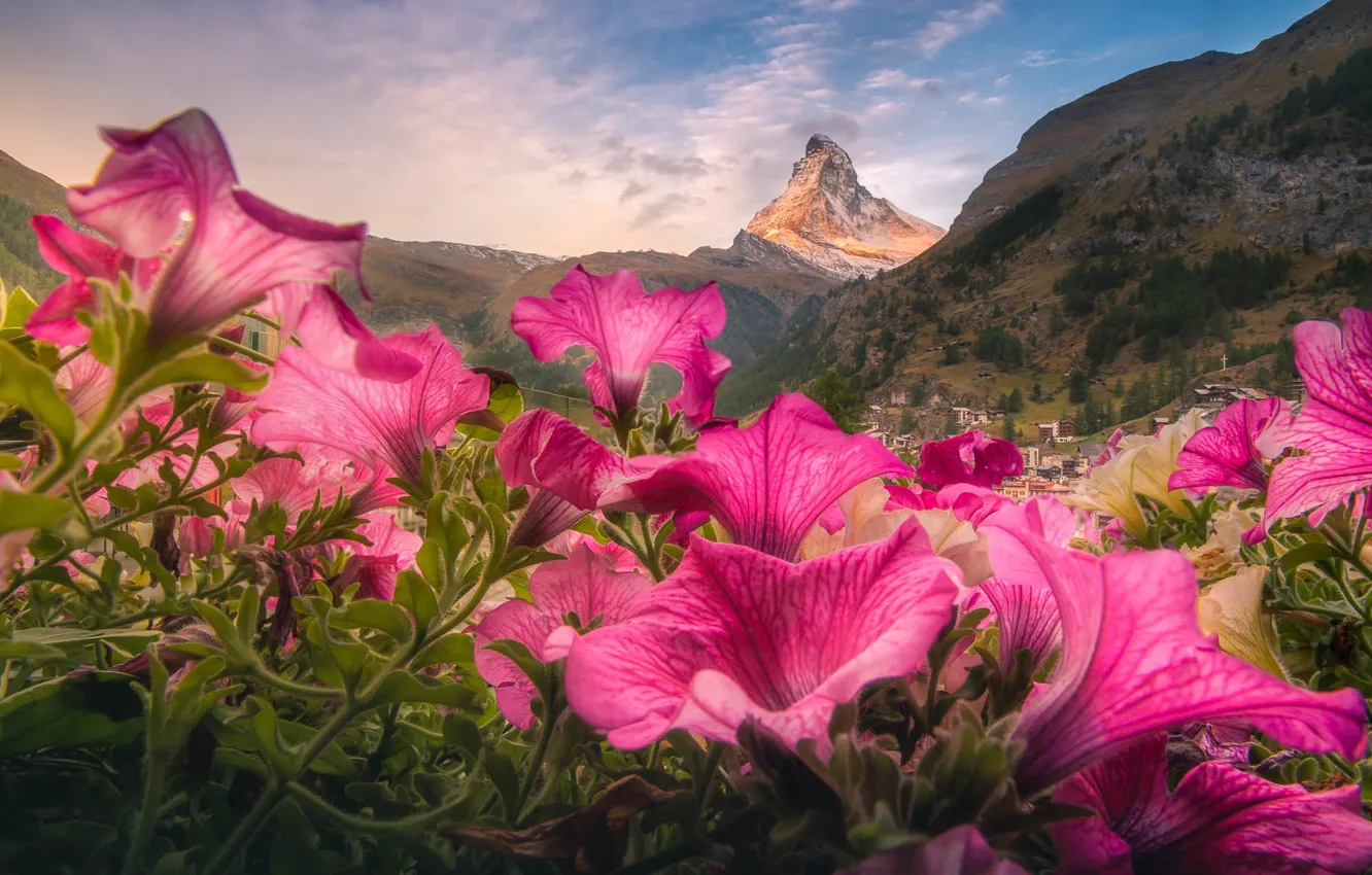 Photo wallpaper forest, summer, the sky, clouds, flowers, mountains, tops, home