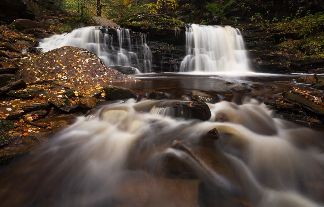Photo wallpaper forest, leaves, nature, waterfall, stream