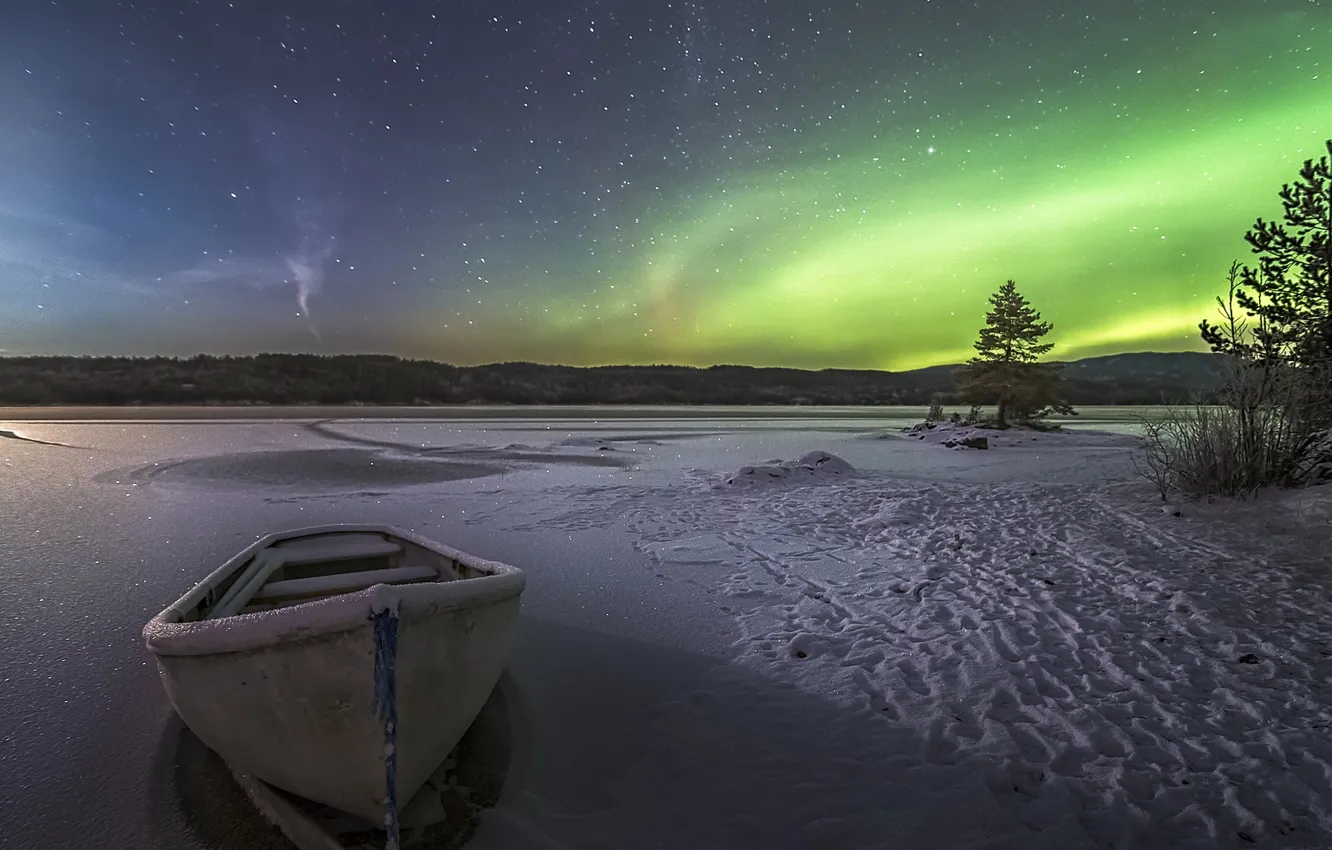 Photo wallpaper winter, forest, the sky, stars, clouds, snow, trees, landscape