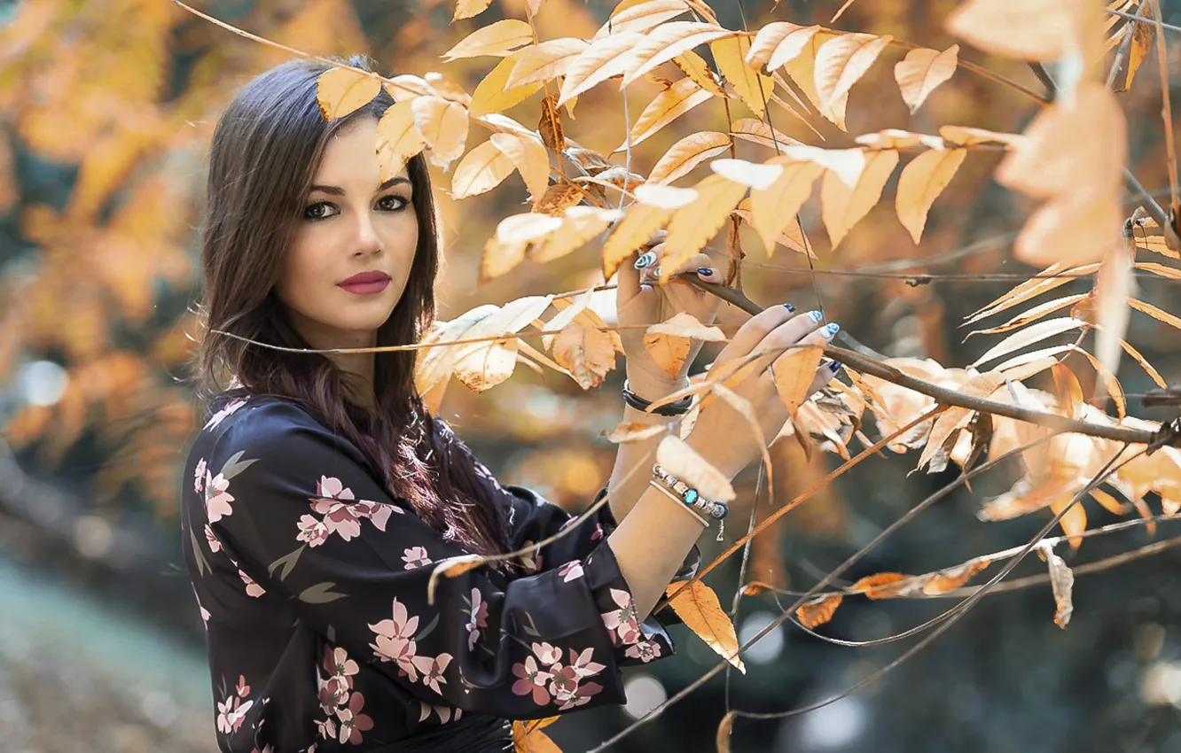 Photo wallpaper look, trees, cutie, Sara