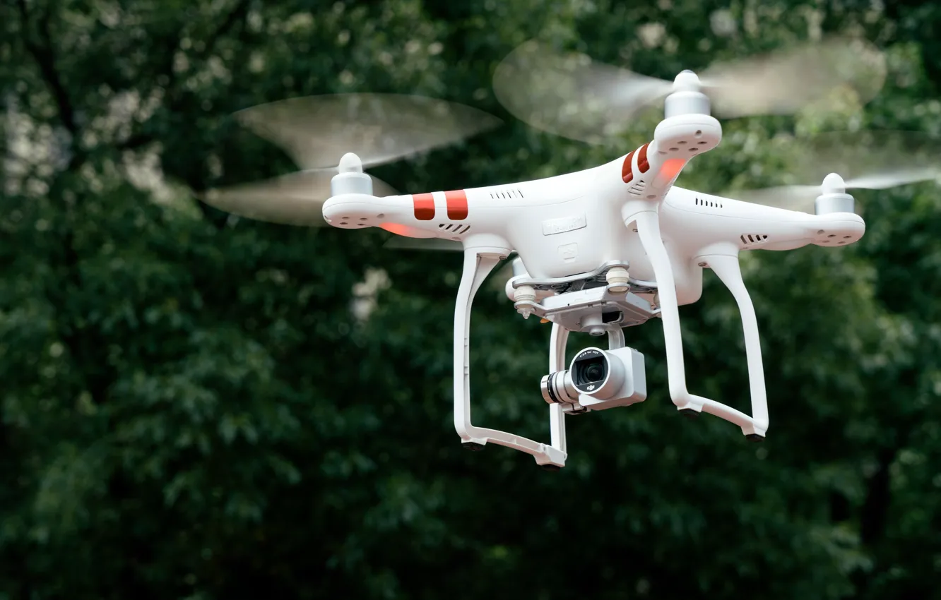 Photo wallpaper trees, aviation, boke, wallpaper drone, videography