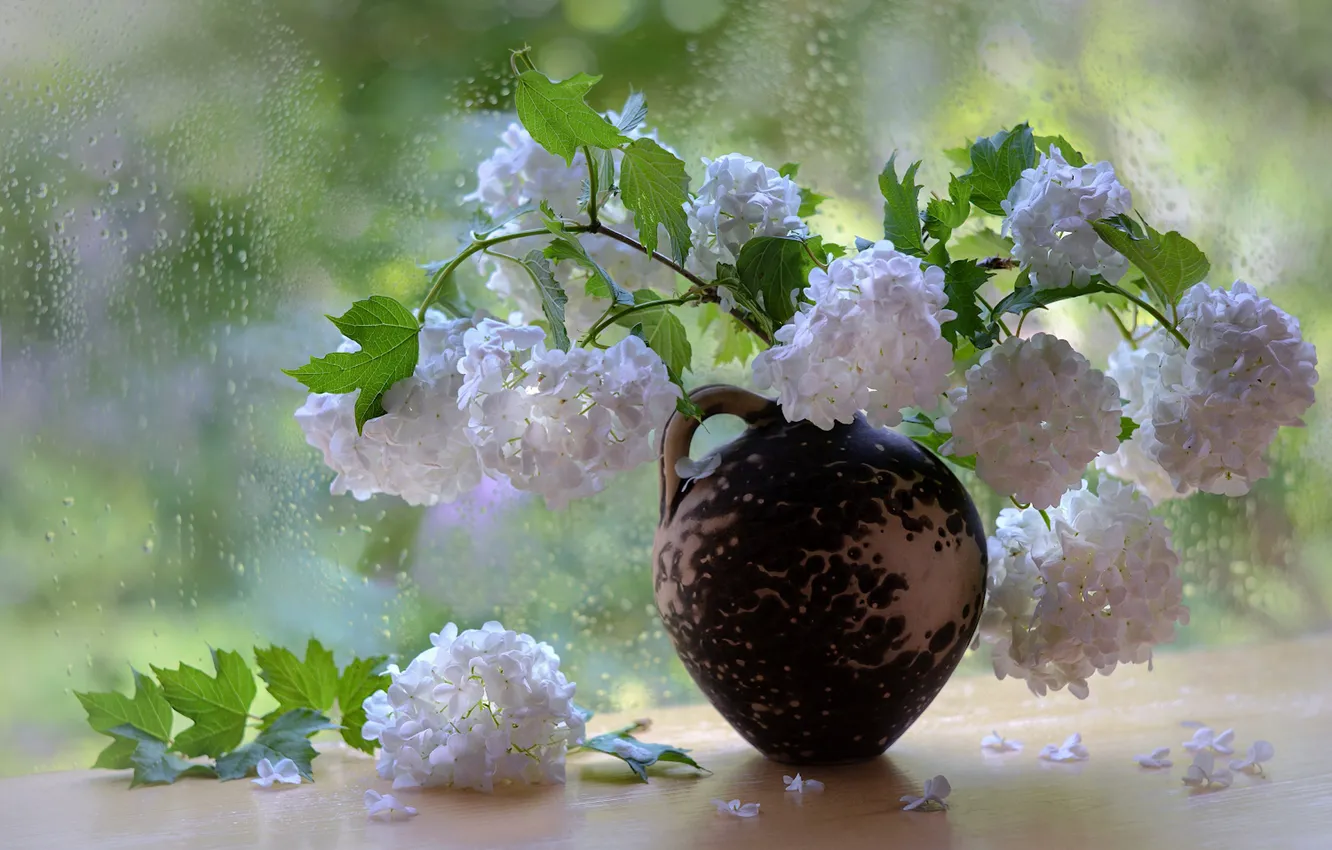 Photo wallpaper summer, glass, leaves, drops, light, flowers, branches, rain