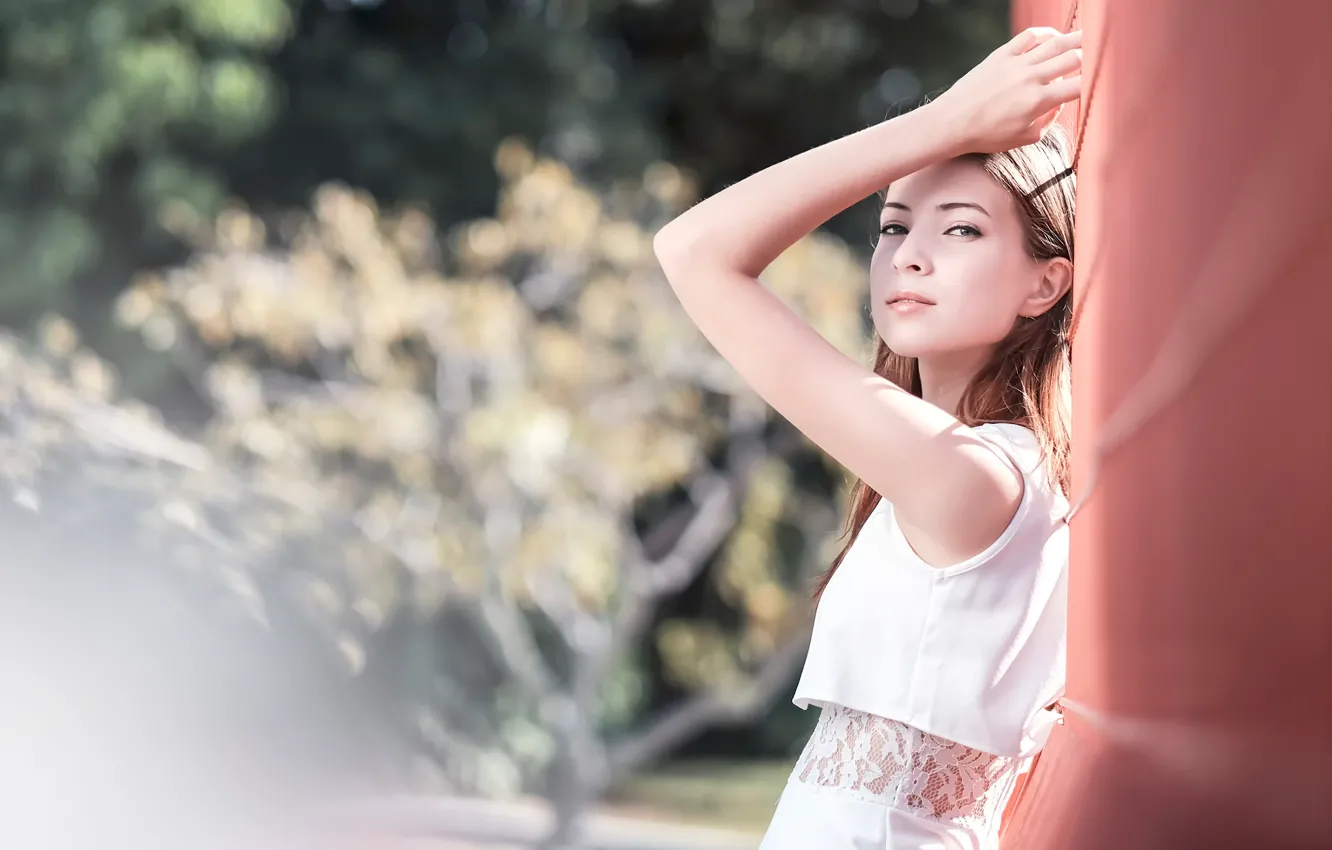 Photo wallpaper bokeh, hayqalsamsuri, Aigel, A regal bearing