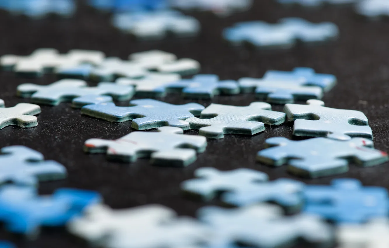 Photo wallpaper macro, the game, puzzle