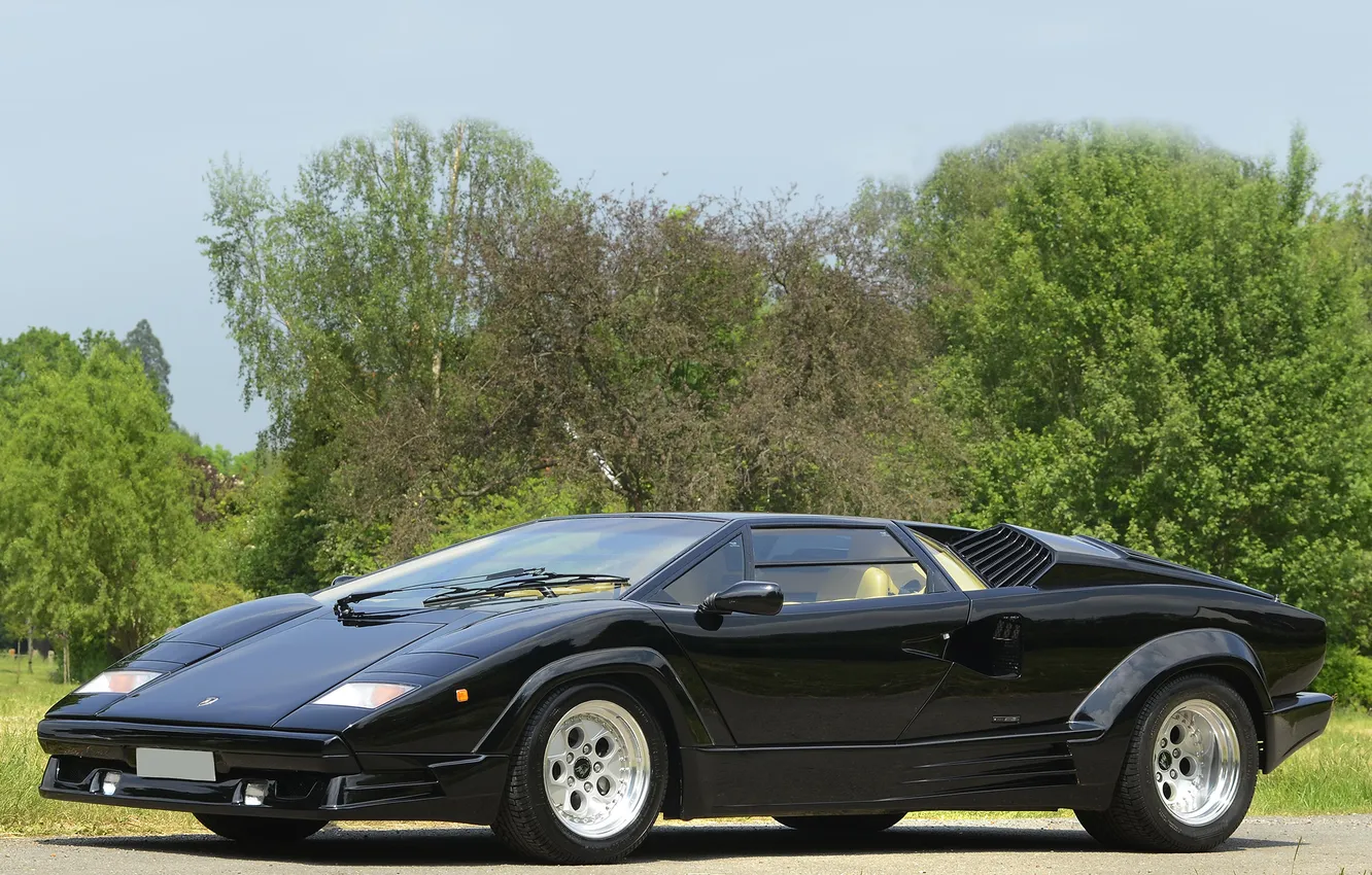 Photo wallpaper trees, Lamborghini, Lamborghini, Countach
