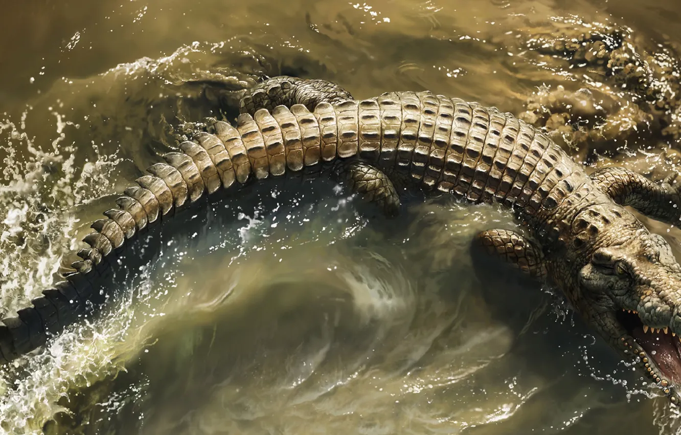 Photo wallpaper Water, Teeth, Mouth, Crocodile, Crocodile, Africa s deadliest, Predators Of Africa