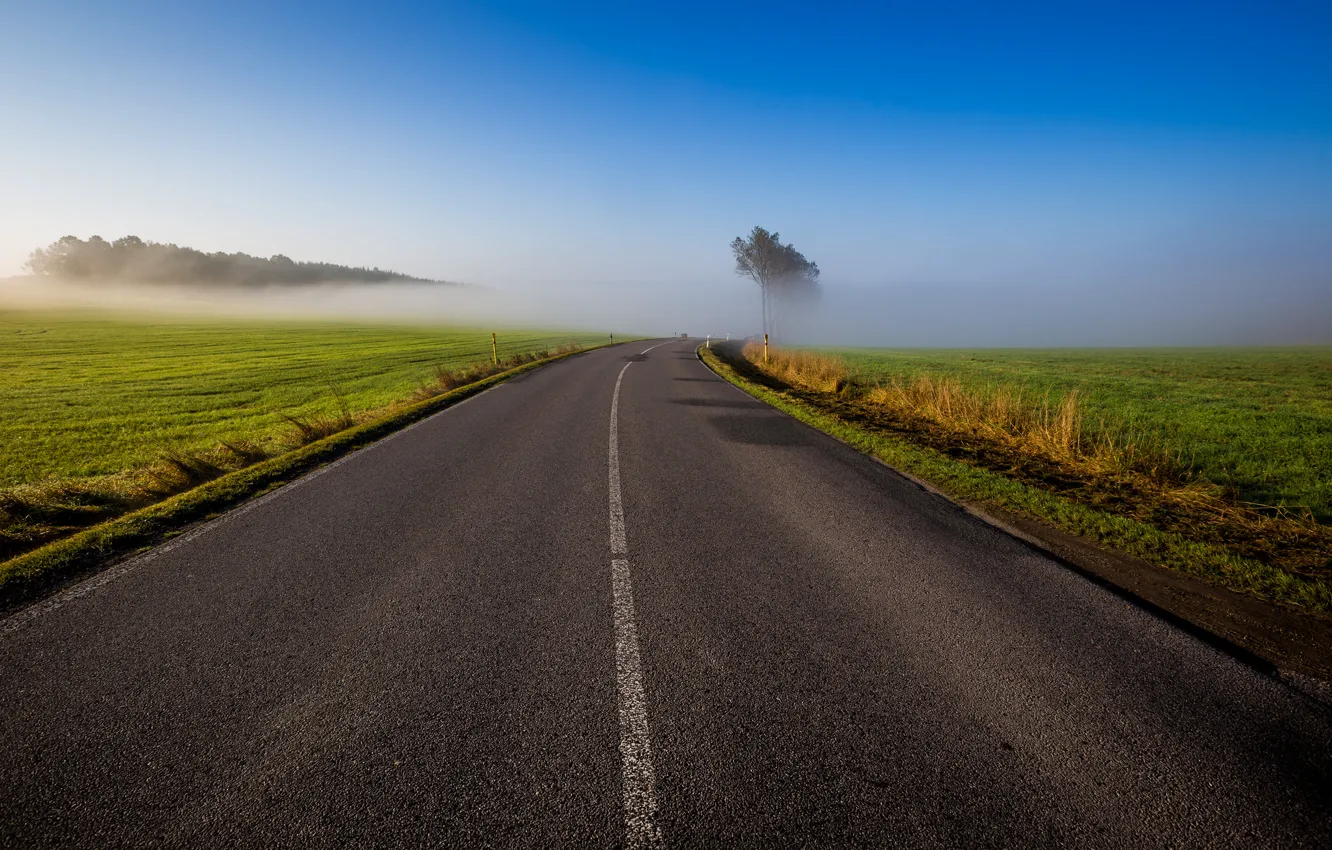 Photo wallpaper road, field, the sky, grass, trees, fog, morning