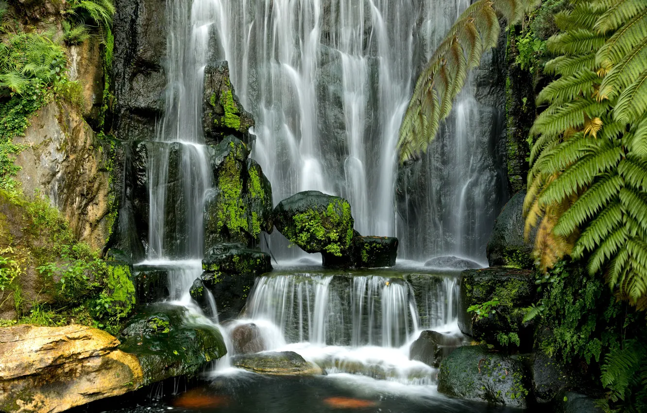 Photo wallpaper greens, water, stones, waterfall