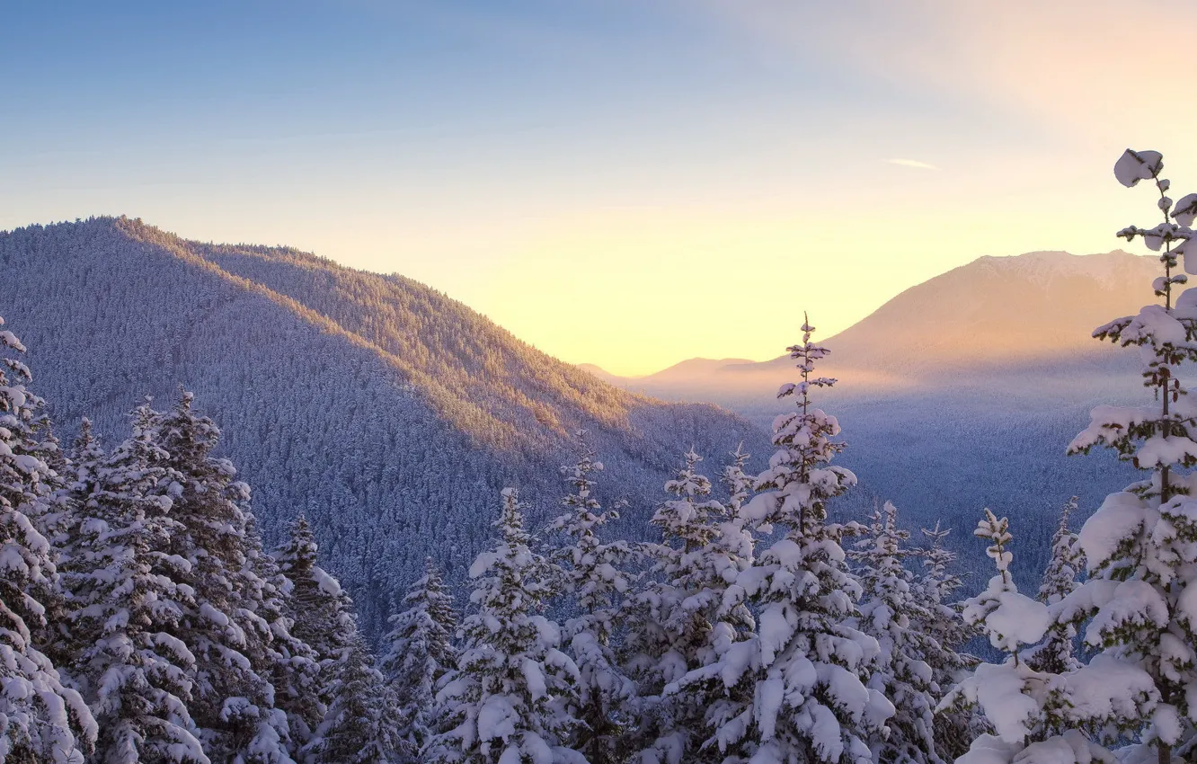 Photo wallpaper forest, the sky, snow, trees, mountains, Winter