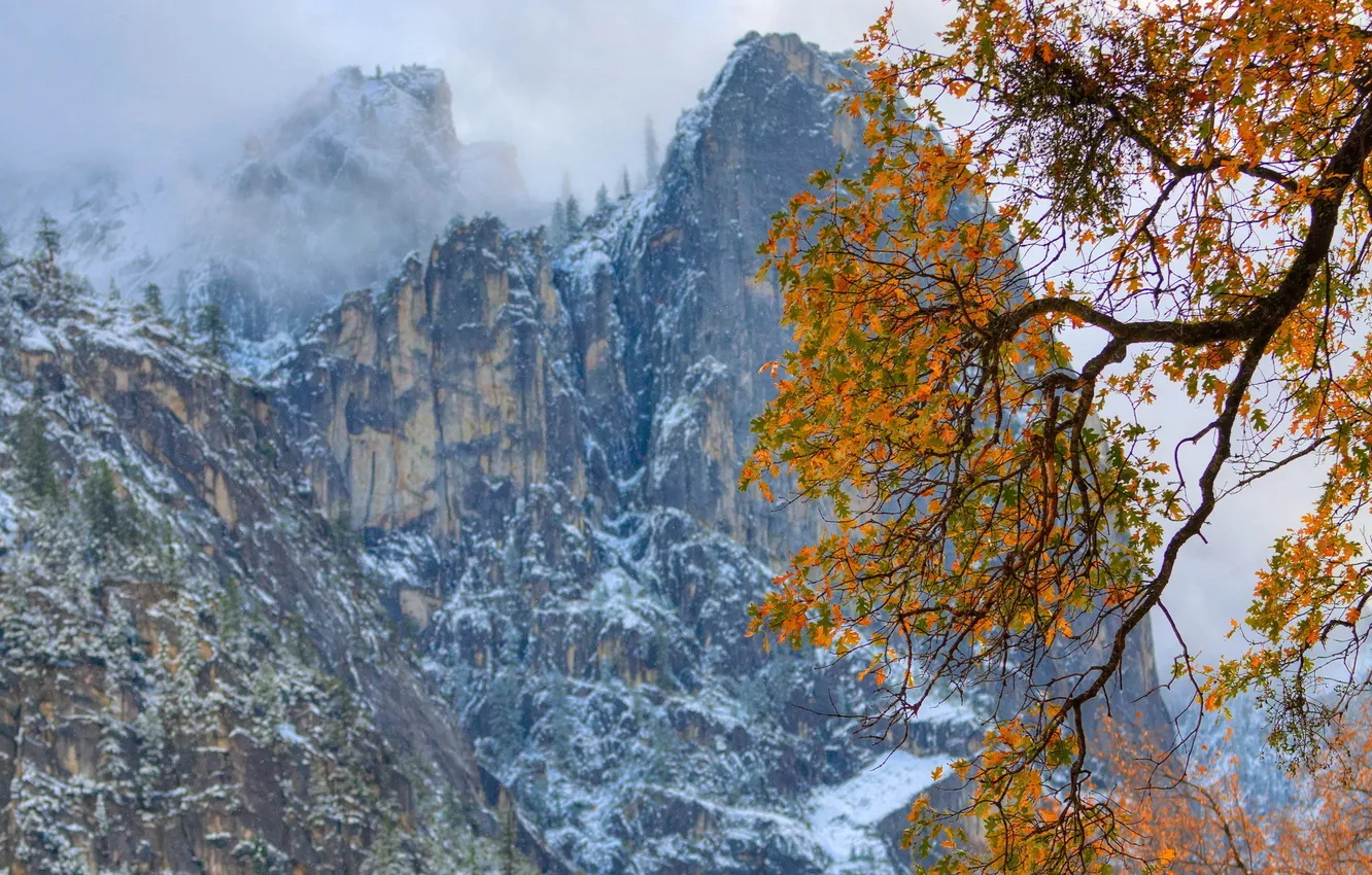 Photo wallpaper autumn, trees, mountains, nature