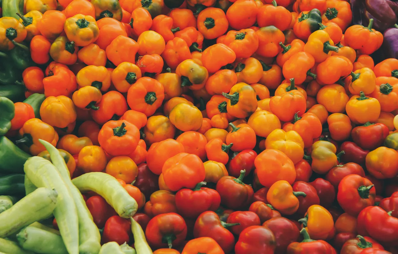 Photo wallpaper orange, red, pepper