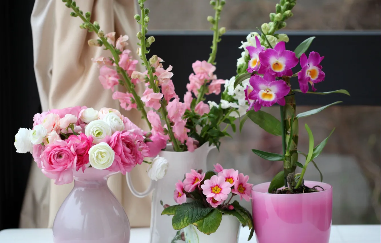 Photo wallpaper flowers, beauty, Orchid, Ranunculus, Primula, gillyflower