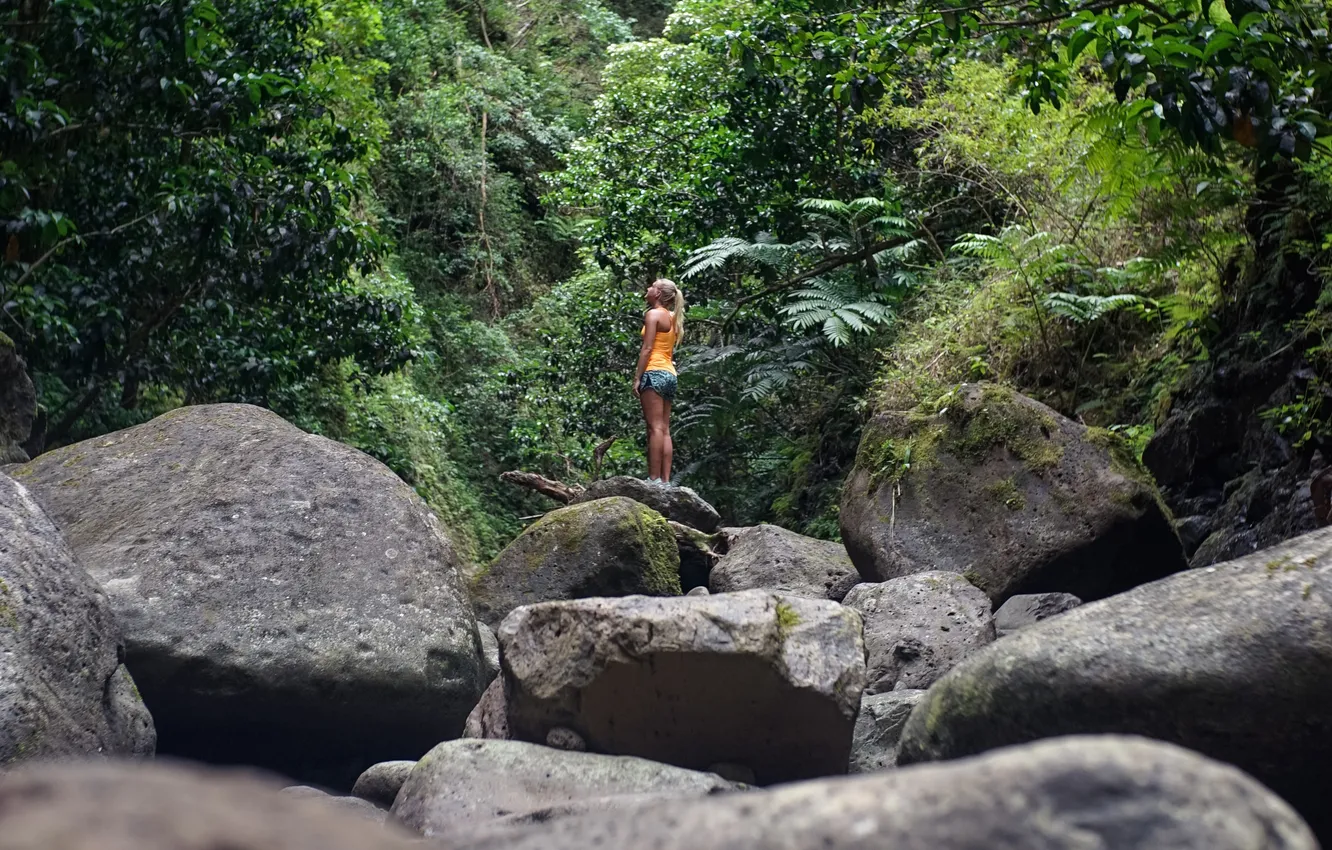 Photo wallpaper forest, girl, trees, nature, stones