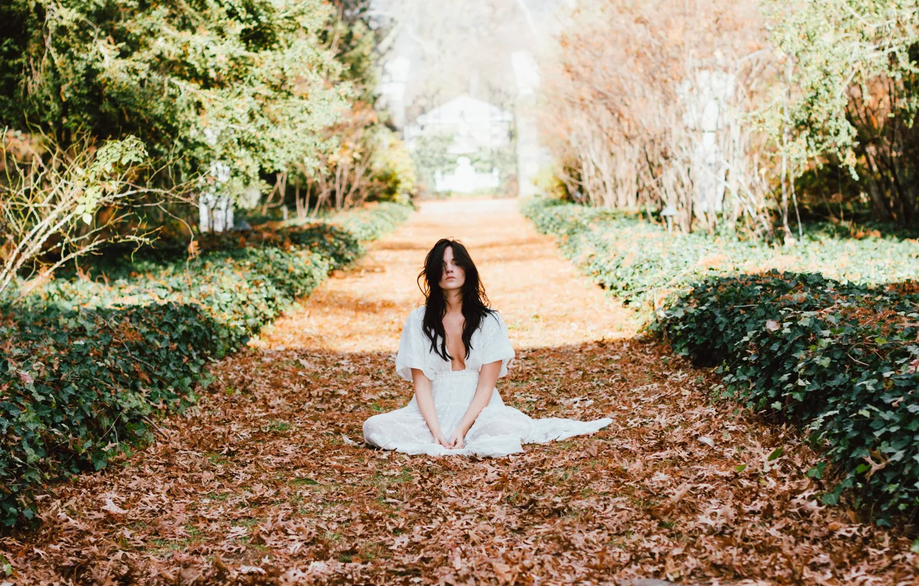 Photo wallpaper autumn, girl, dress, sitting