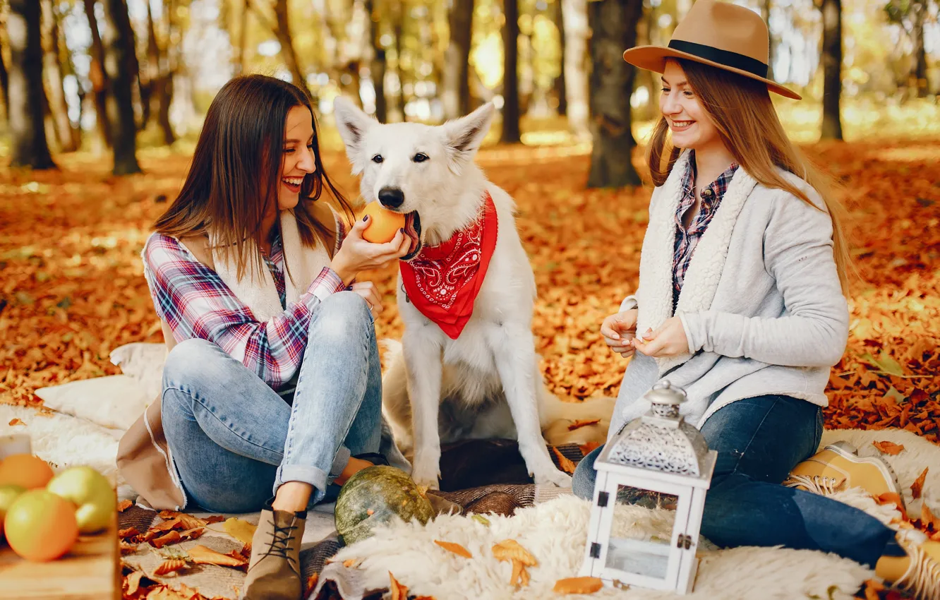 Photo wallpaper autumn, white, girl, nature, pose, Park, each, glade