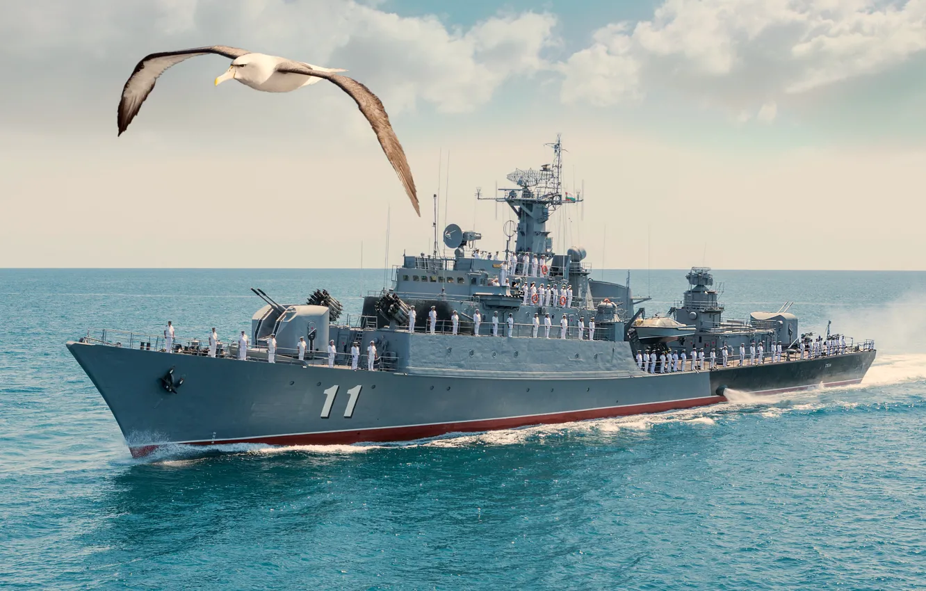 Photo wallpaper frigate, albatrosses, Dare, Bulgarian Navy