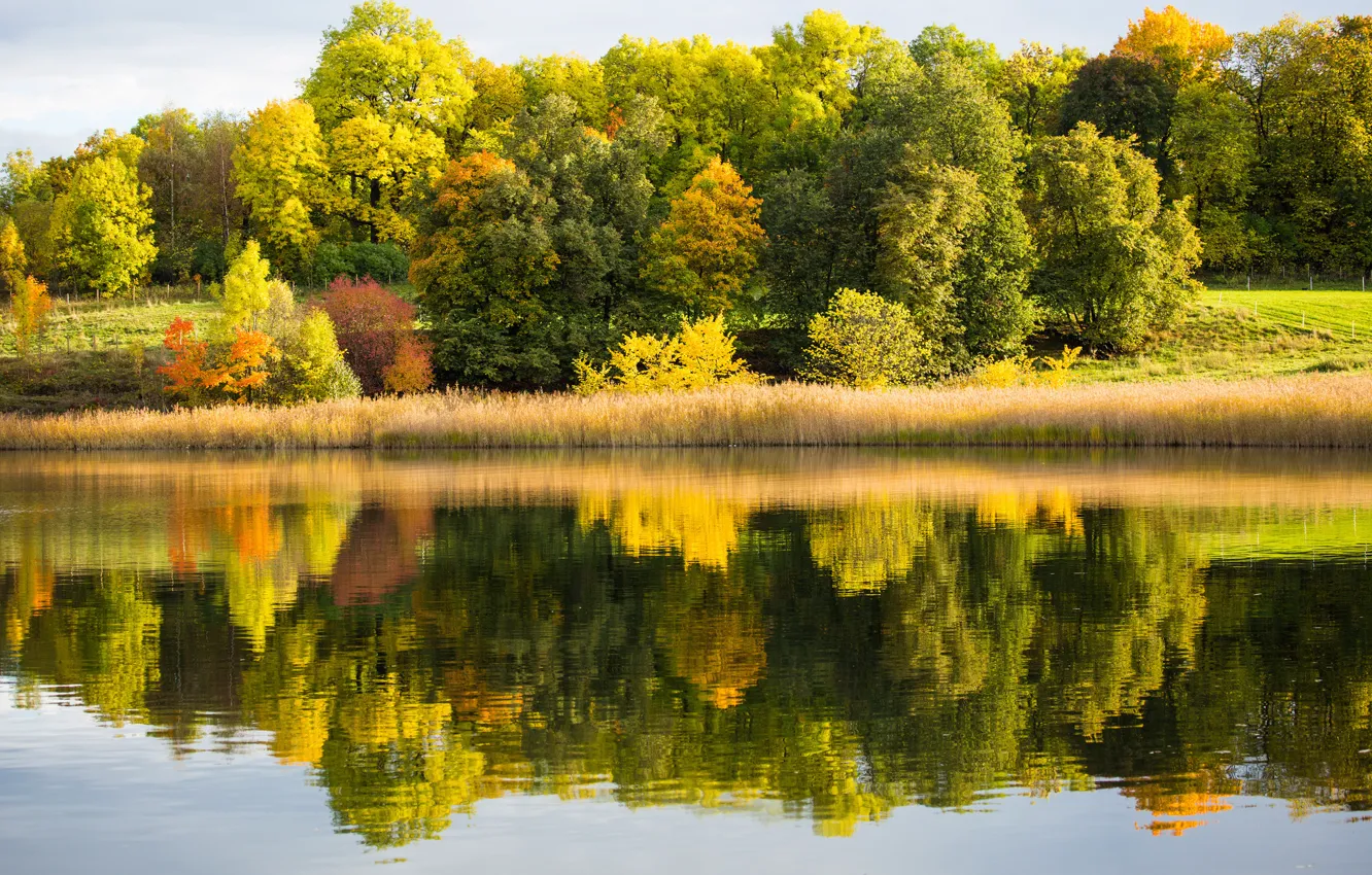 Photo wallpaper autumn, forest, lake, reflection
