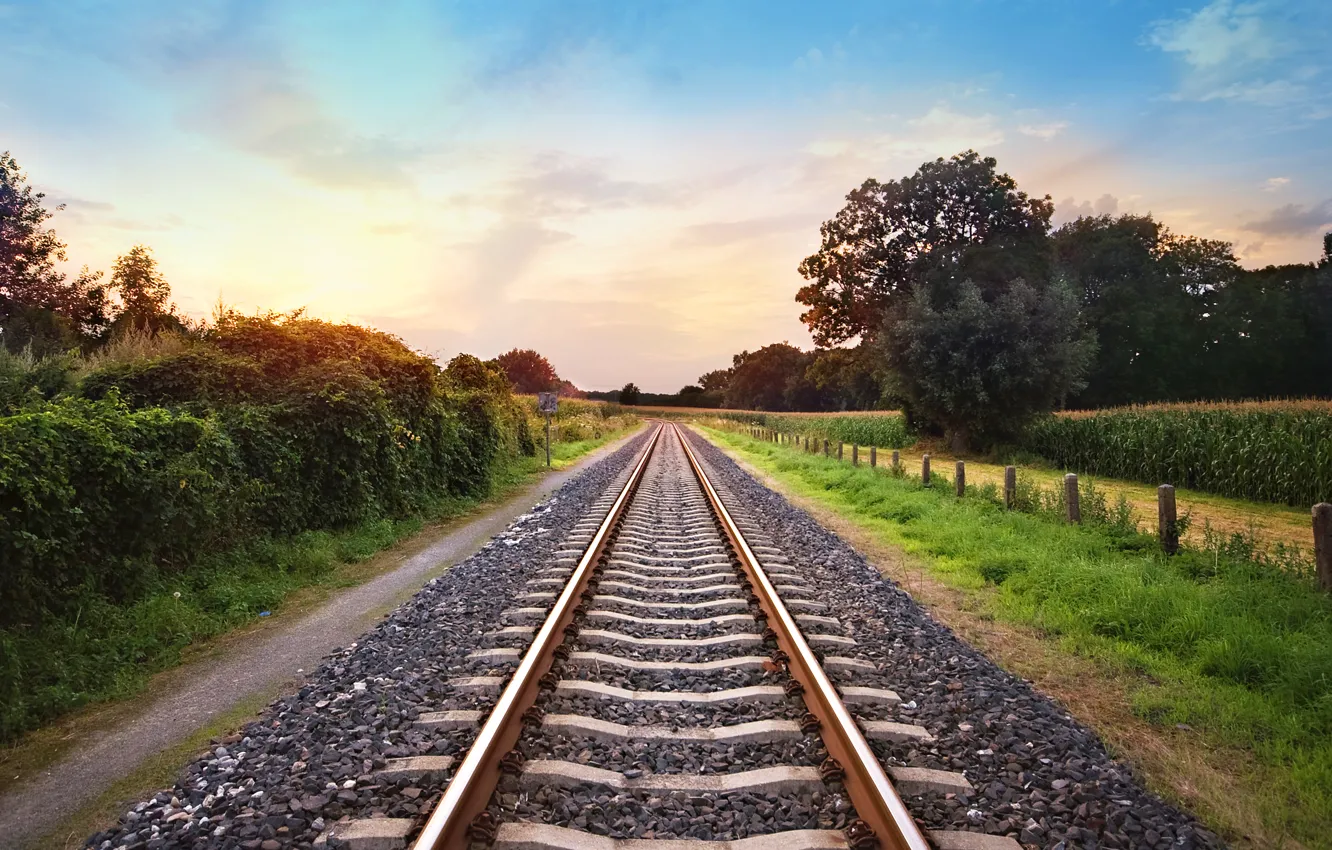 Photo wallpaper nature, rails, railroad