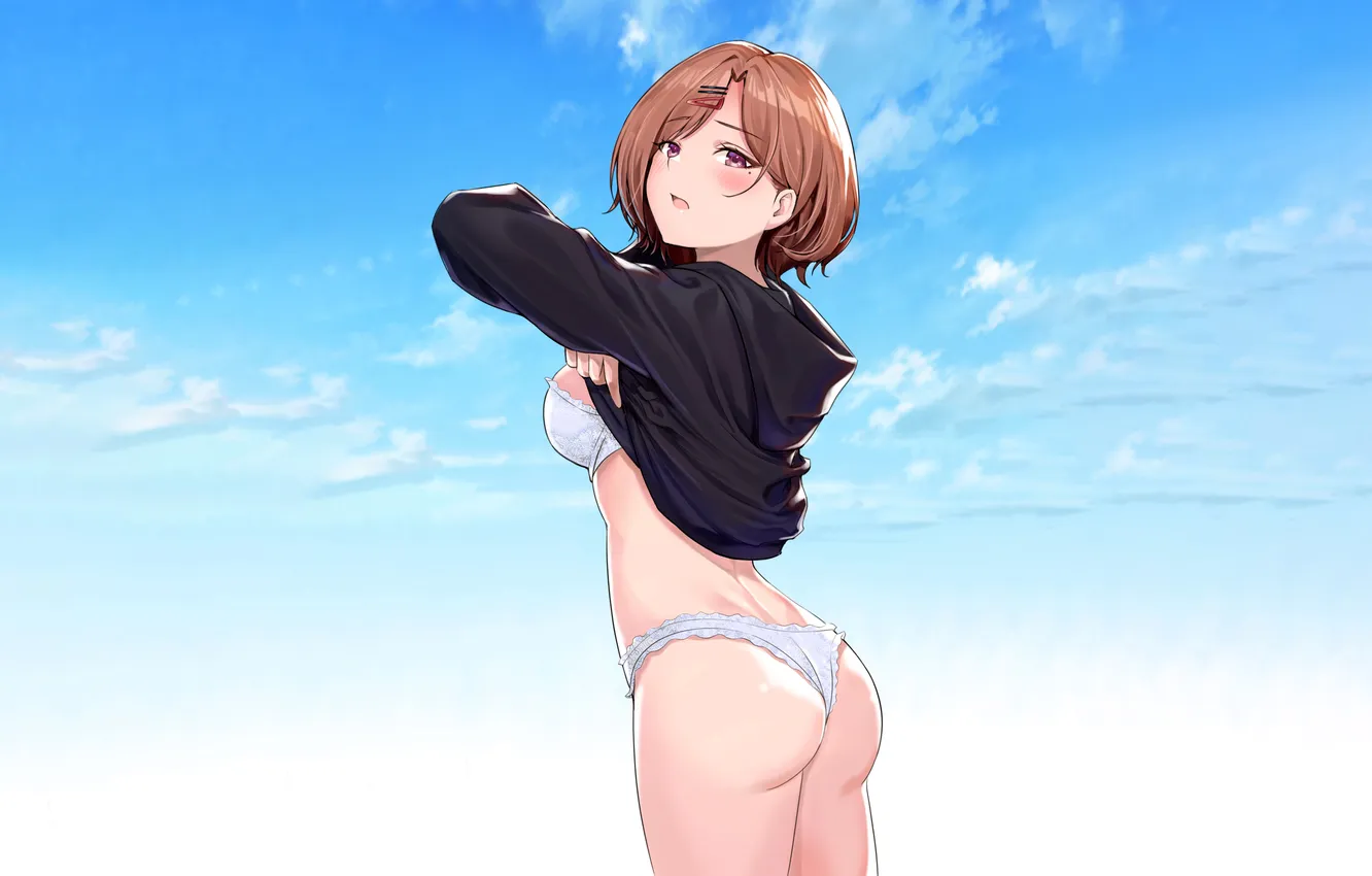 Photo wallpaper girl, sexy, lingerie, ass, bra, panties, sky, brown hair