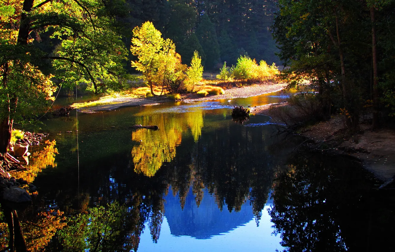 Photo wallpaper autumn, forest, trees, mountains, reflection, augereau,
