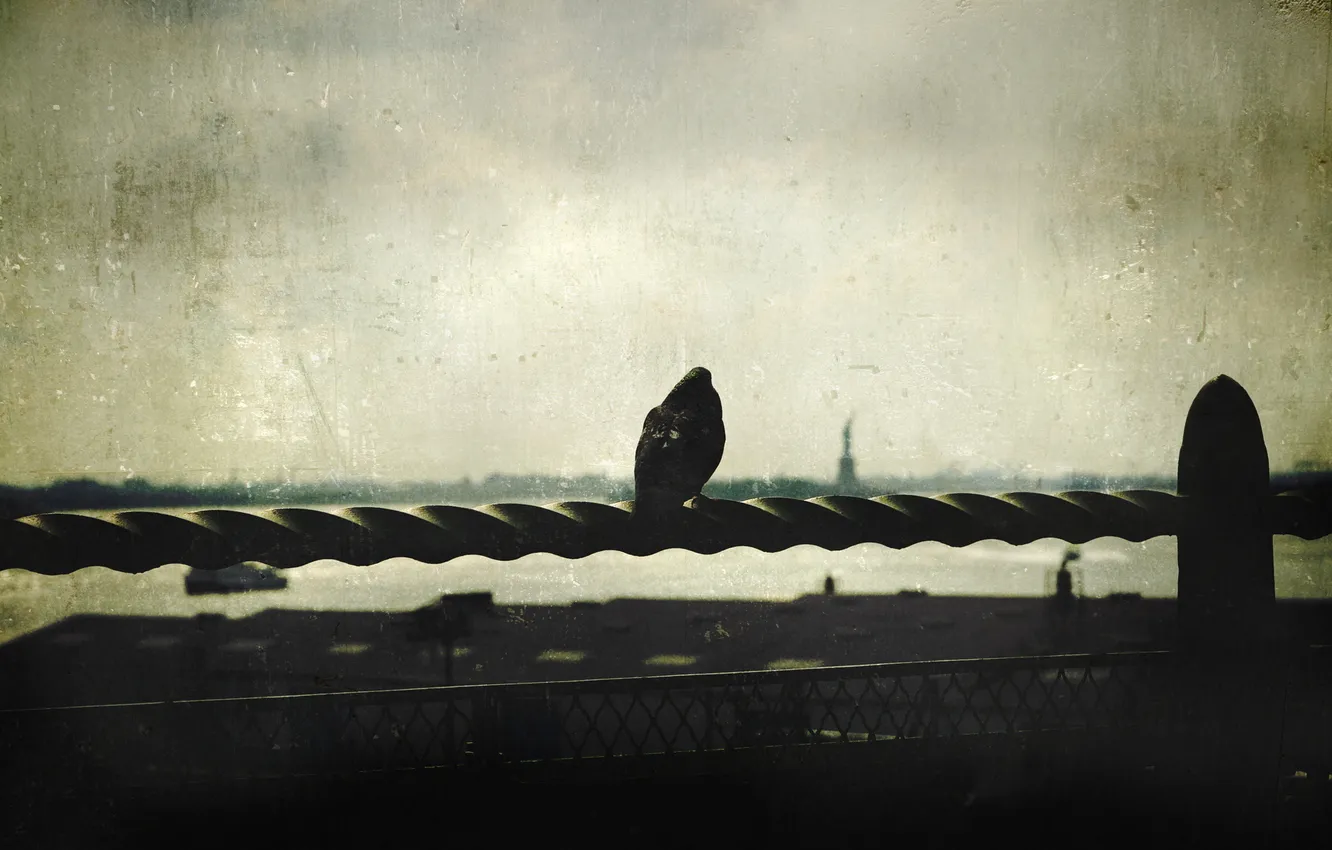 Photo wallpaper sadness, roof, mood, window, pigeons