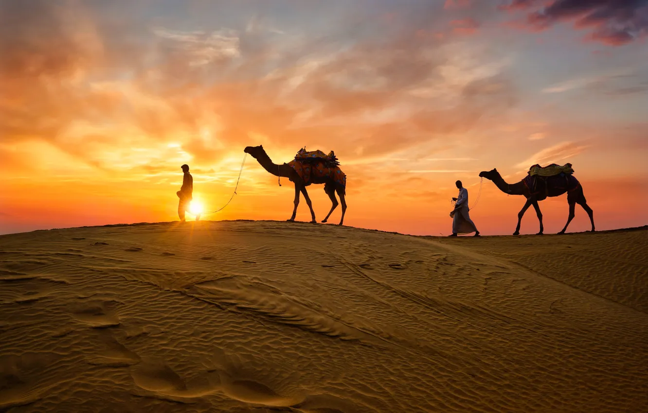 Photo wallpaper desert, sand, safari, travel, India, camel, dunes, Rajasthan