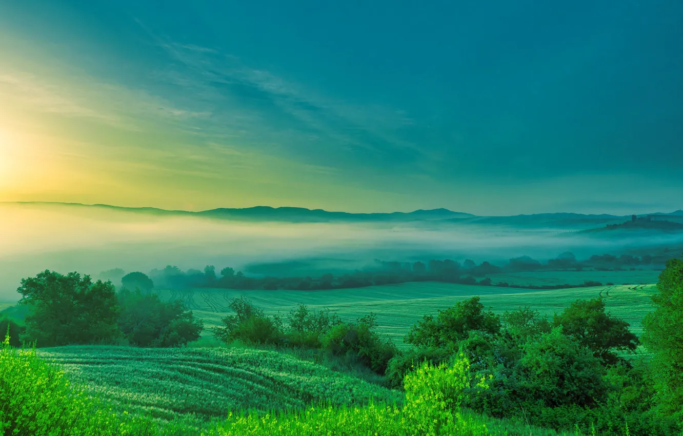 Photo wallpaper fog, hills, morning, valley