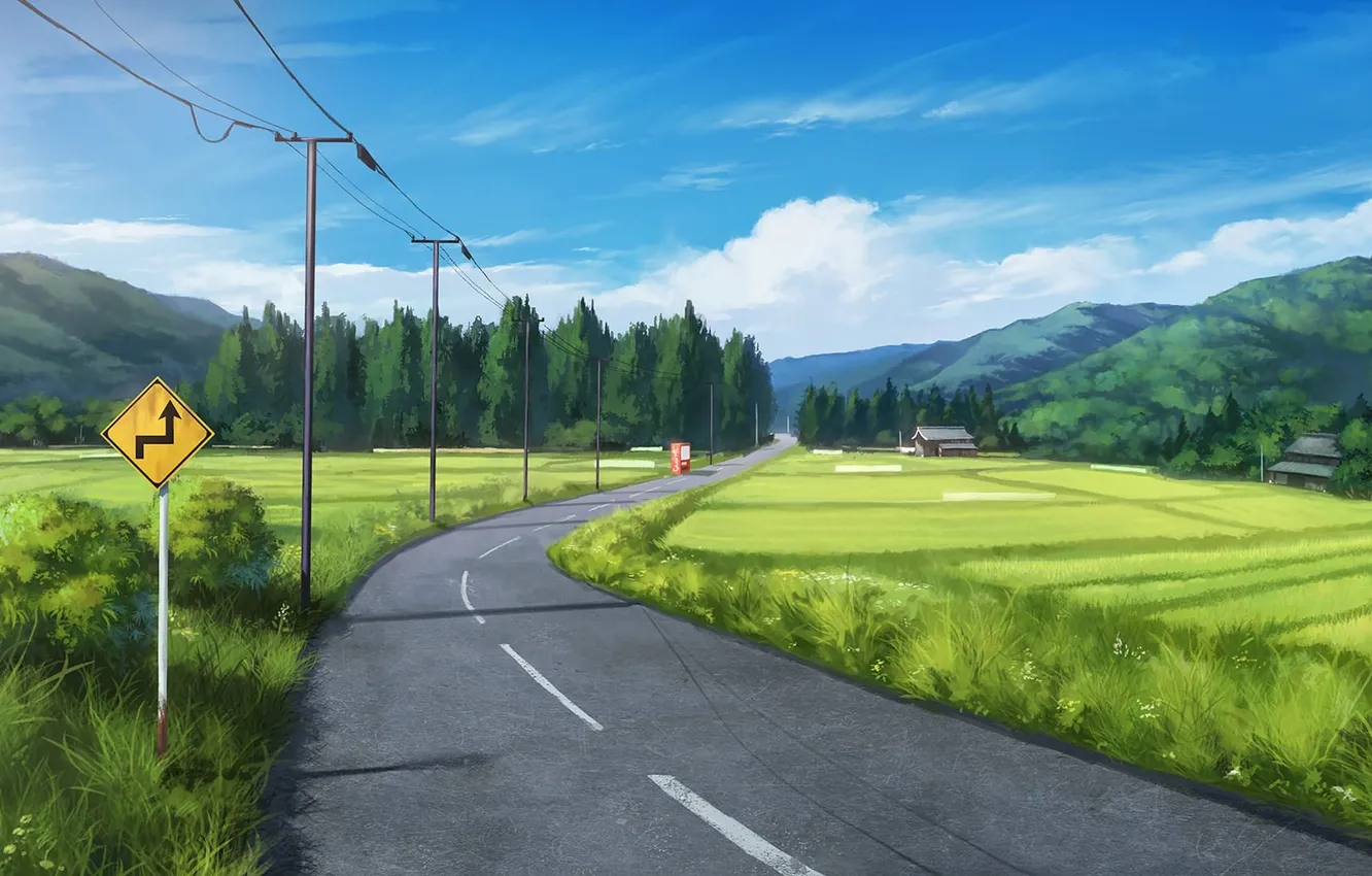 Photo wallpaper road, field, forest, grass, mountains, sign, posts, wire