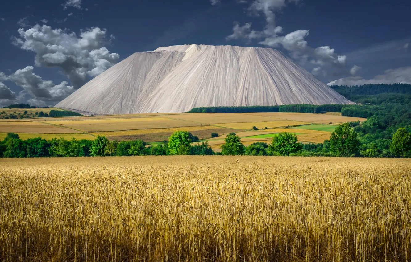 Photo wallpaper Germany, Thuringia, Municipality Of Dankmarshausen