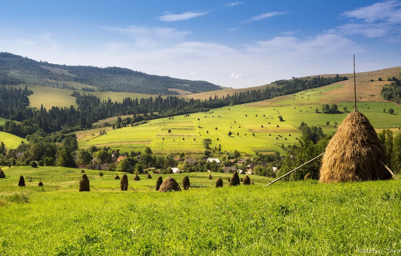 Photo wallpaper forest, village, meadow, hay, MOP