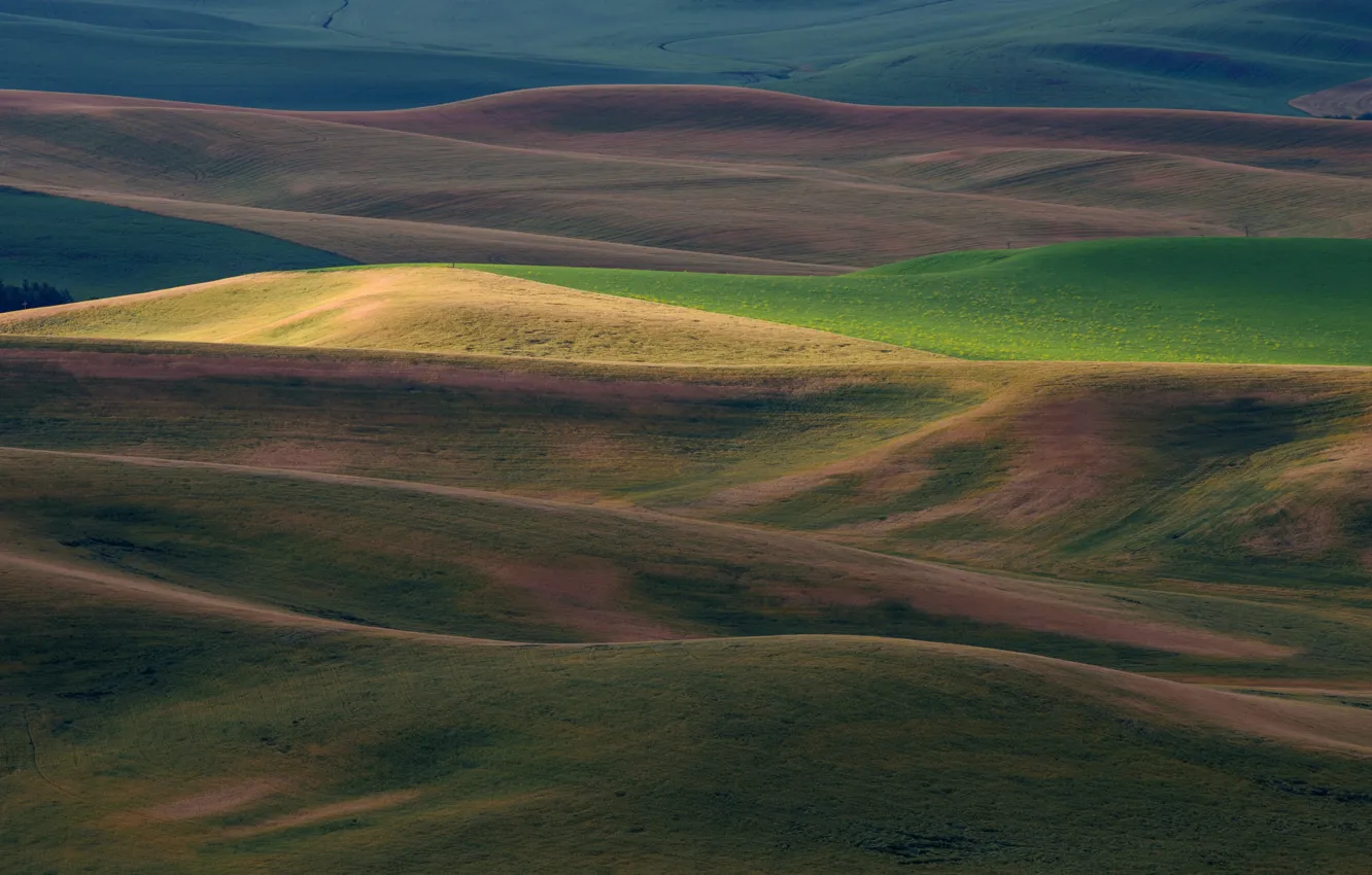 Photo wallpaper hills, field, lighting