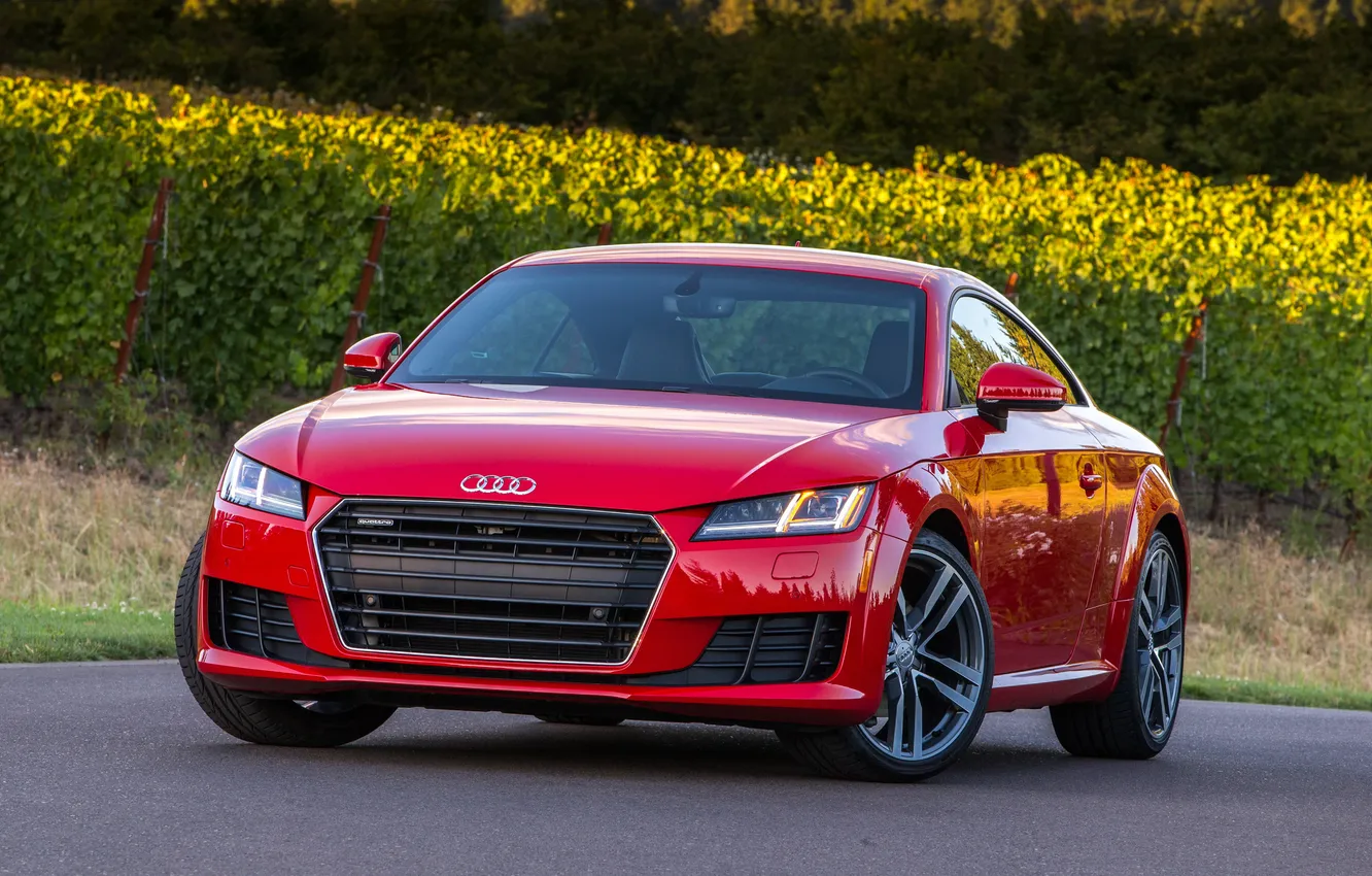 Photo wallpaper Audi, Audi, Coupe, quattro, TFSI, US-spec, 2015