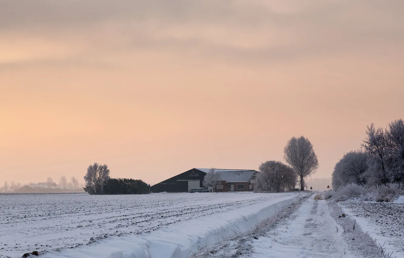 Photo wallpaper winter, field, house