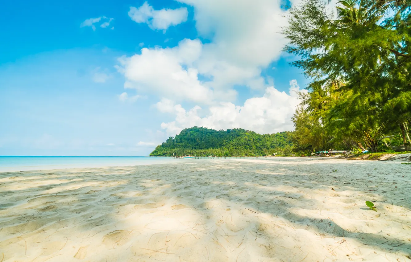 Photo wallpaper sand, sea, wave, beach, summer, the sky, palm trees, shore
