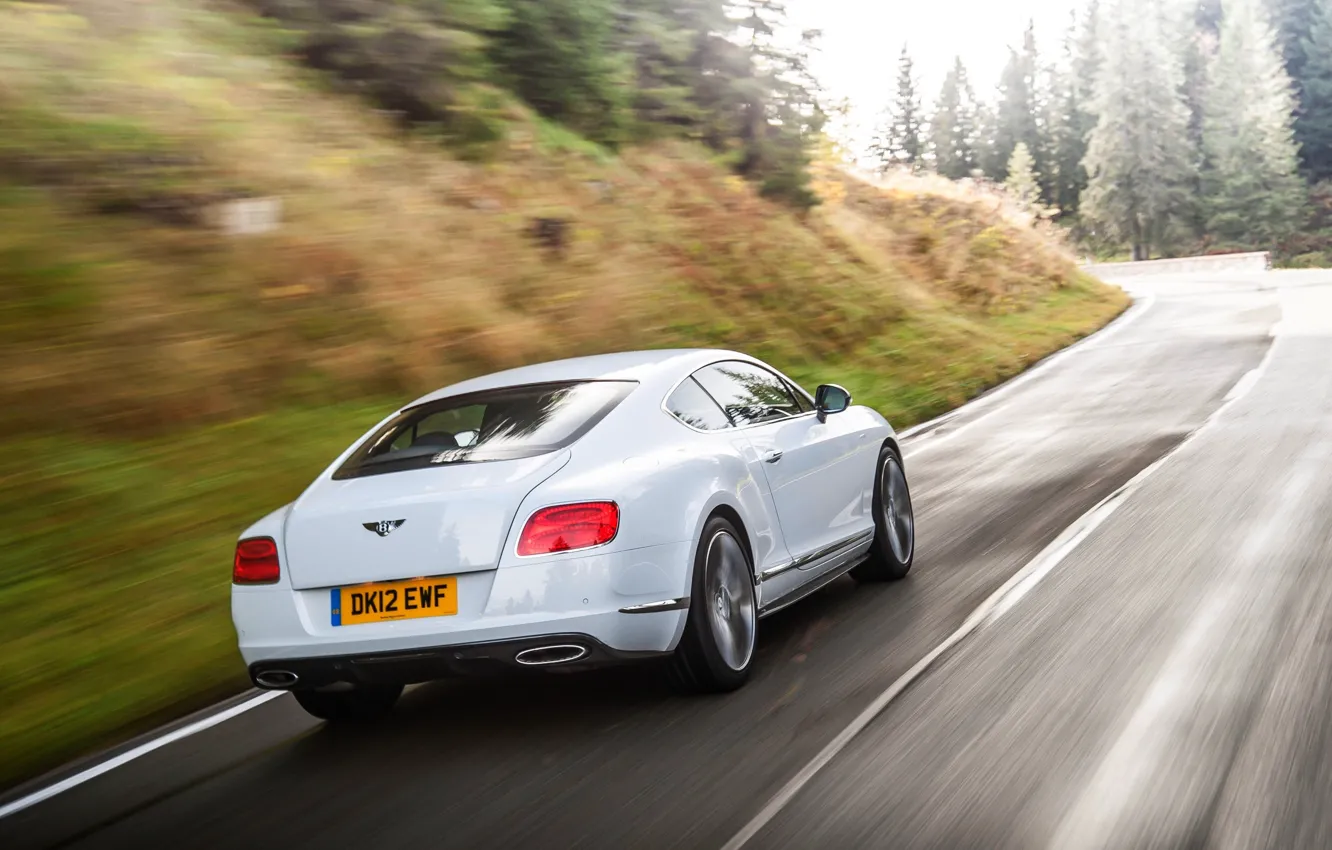 Photo wallpaper Bentley, Continental, Road, White, Forest, Machine, In Motion