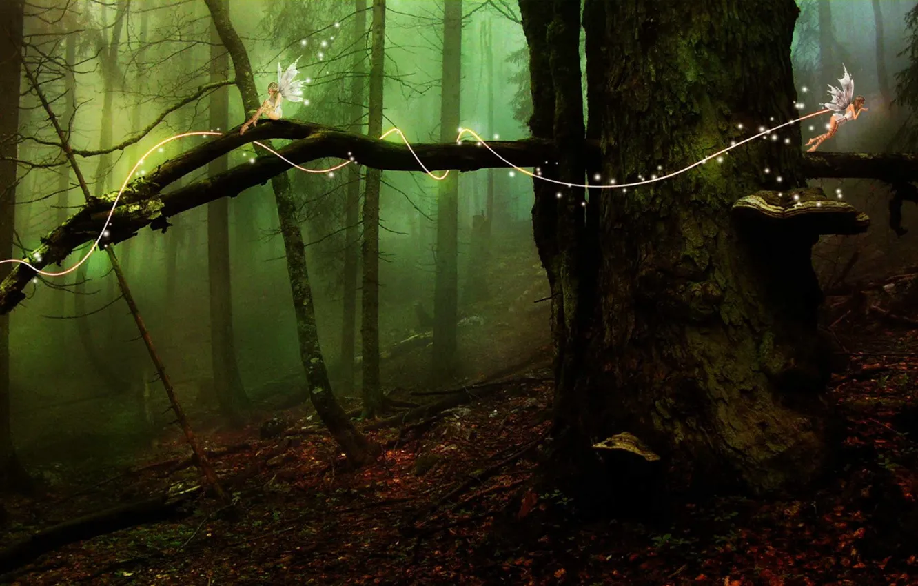Photo wallpaper forest, tree, elves